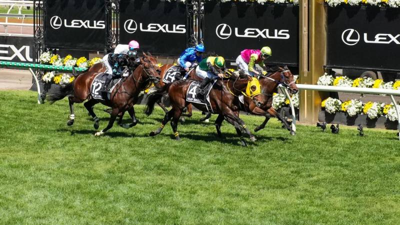 Các Loại Kèo Đua Ngựa Phổ Biến Cho Người Chơi Cá Cược 4 Cược First Four