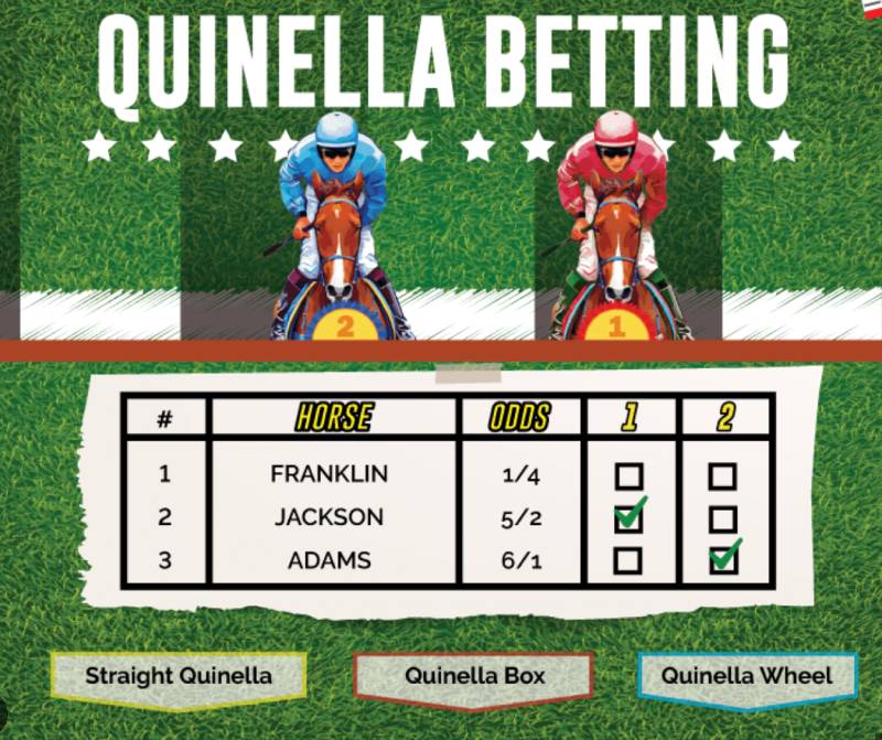 Các Loại Kèo Đua Ngựa Phổ Biến Cho Người Chơi Cá Cược 2 Cuoc Quinella