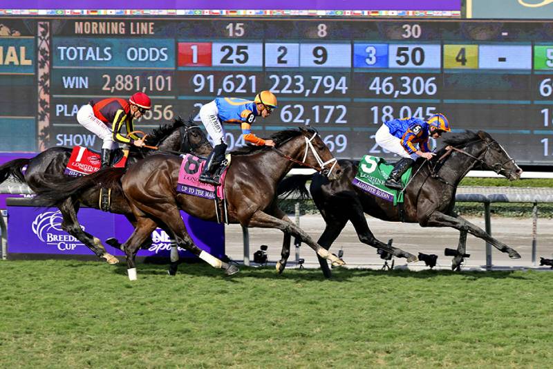 Các Loại Kèo Đua Ngựa Phổ Biến Cho Người Chơi Cá Cược 1 cuoc don dua ngua